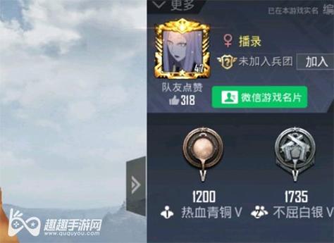 和平精英辅助【先行者直装V1.5】车辆透视 触摸自瞄 透视绘制 掩体漏击 人物美化